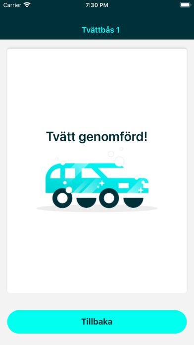 Biltvätt Screenshot
