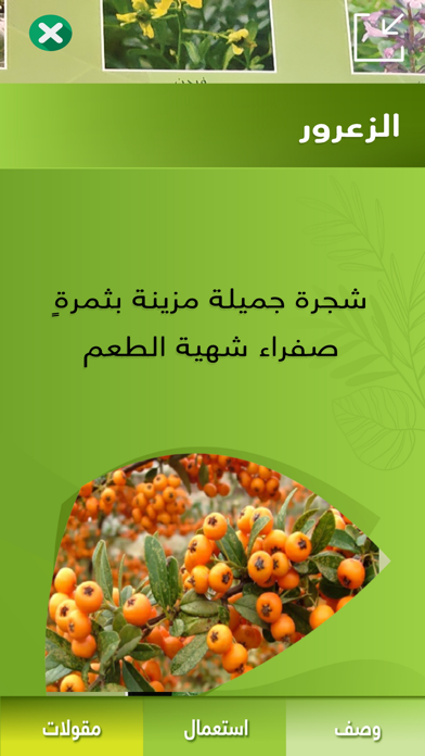 نباتات فلسطين app screenshot 2