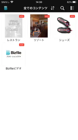 Bizfile. screenshot 2
