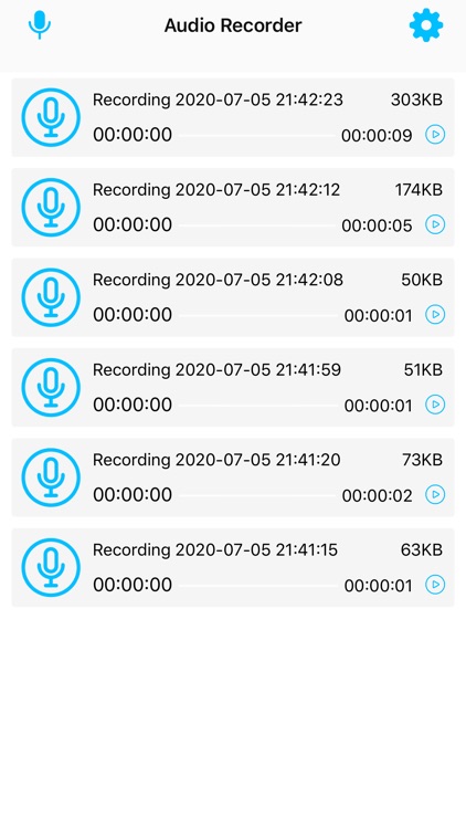 Audio Recorder For Voice