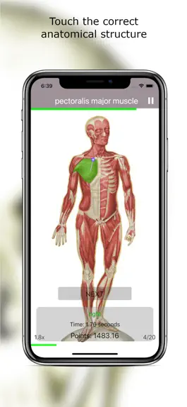 Game screenshot Anatomy Quiz Lite apk