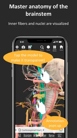 Game screenshot Brainstem and SEZ anatomy mod apk