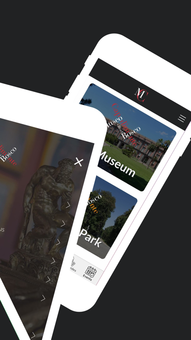 Capodimonte Museum Screenshot