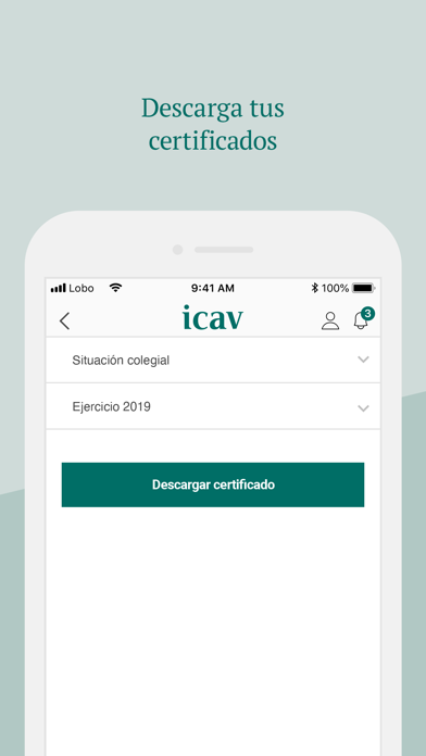 ICAV Screenshot