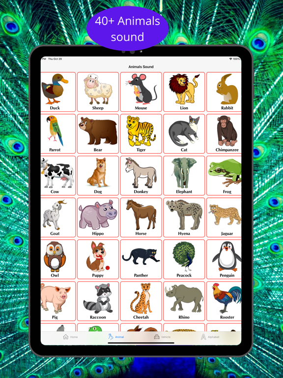 Screenshot #6 pour Animo - Fun way to learn