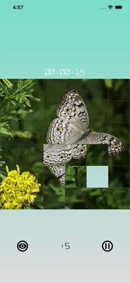 Game screenshot Images 15 Puzzles apk