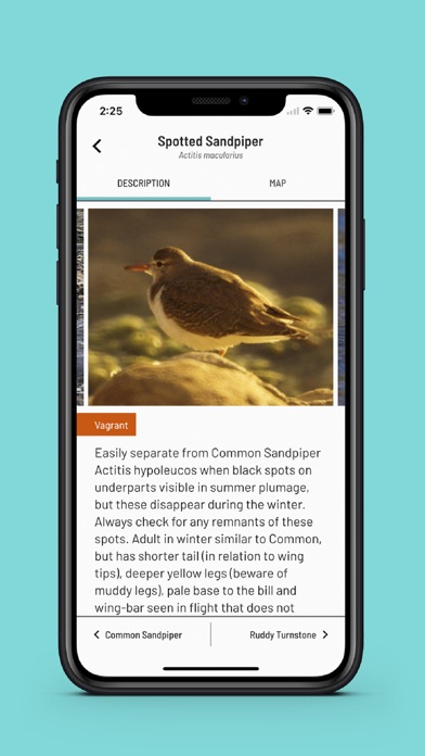 Macaronesian Birds Screenshot