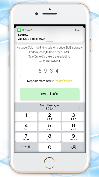 Taxi Bratislava Screenshot