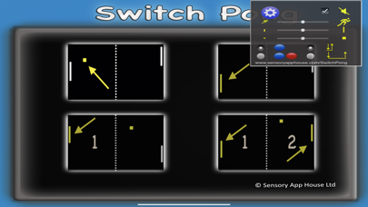 Sensory Switch Pong Screenshot