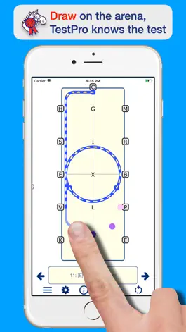 Game screenshot TestPro Dressage Ireland apk