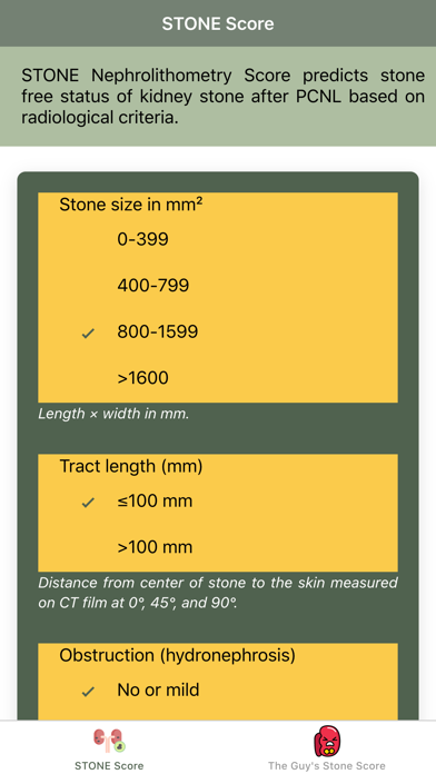 Kidney Stone Scoring Screenshot