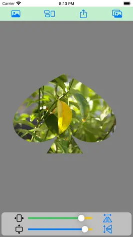 Game screenshot PicShaper hack