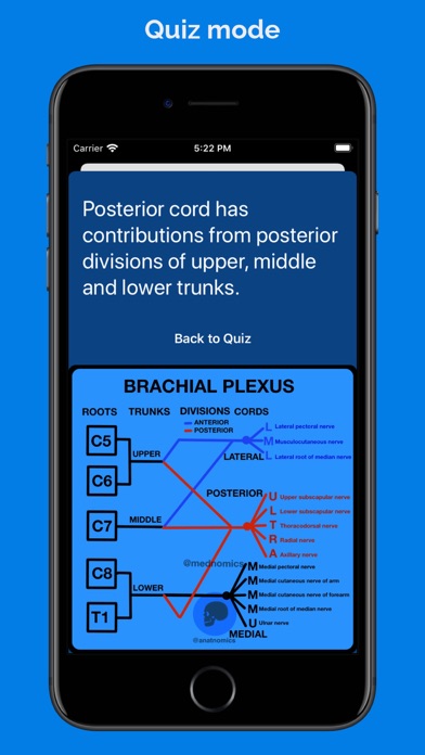 Anatnomics: Anatomy mnemonics Screenshot