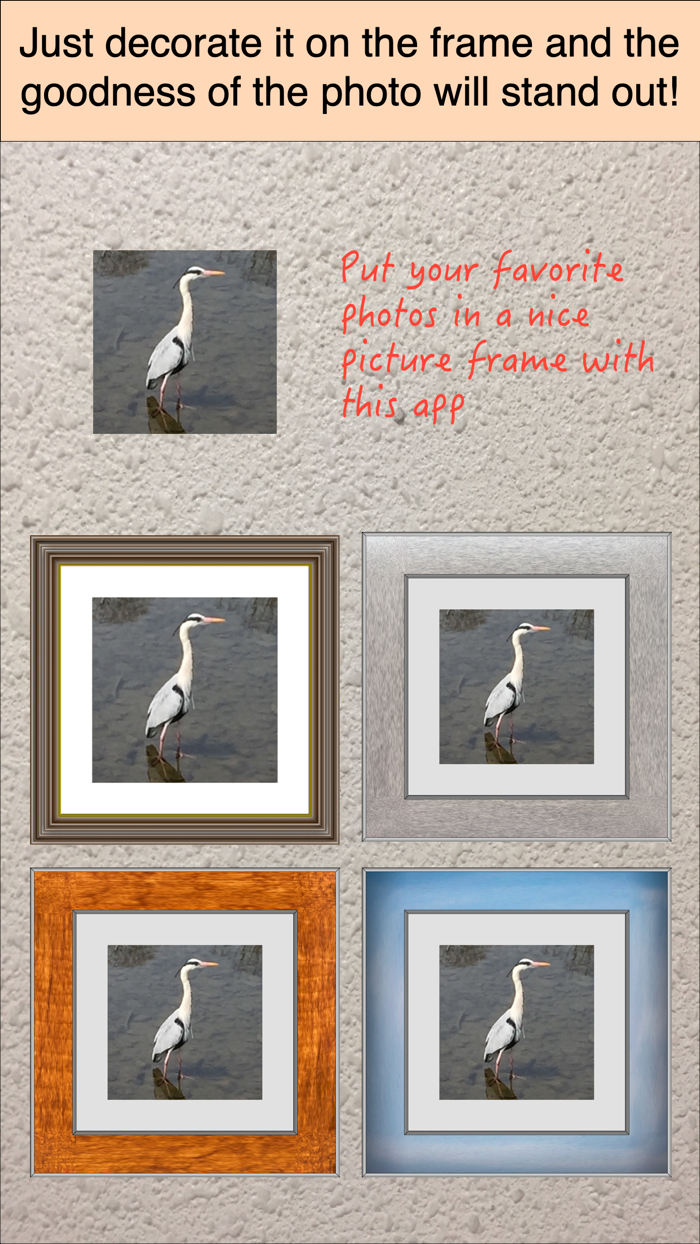 in the picture frame