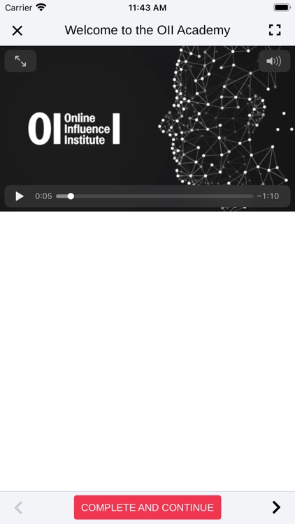 Online Influence Institute screenshot-3