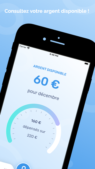 Screenshot #2 pour Pilote Dépenses