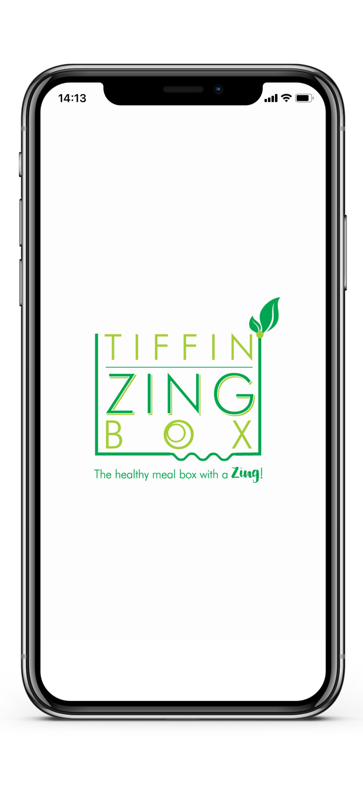Zing by Tiffin Box