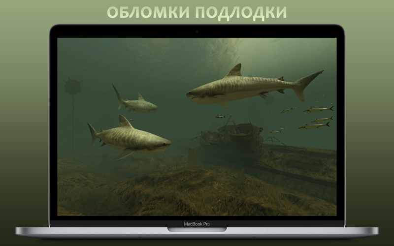 Скриншот из Sharks 3D