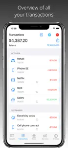 Dispensatio - Budget Manager screenshot #2 for iPhone