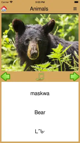 Game screenshot Canoe Lake Cree Nation hack