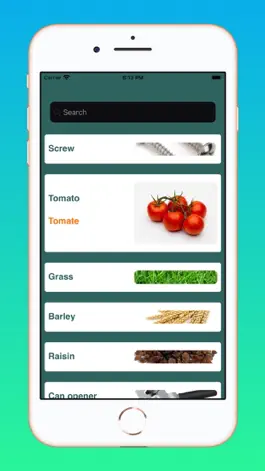 Game screenshot English French Basic Words apk