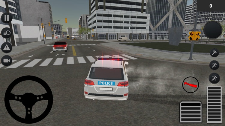 Chase Thief with Police Car screenshot-4