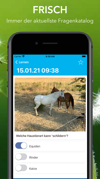 Veterinärmedizin Berufsschule Screenshot