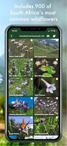 Wildflowers of South Africa screenshot #3 for iPhone