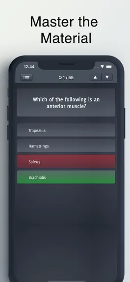 Game screenshot Level 2 Anatomy & Physiology apk