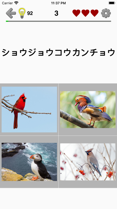 動物クイズゲーム : 動物園全体の日本と世界の動物のおすすめ画像4