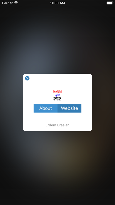 Radio Pur Screenshot