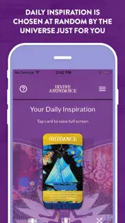 divine abundance oracle cards iphone screenshot 4