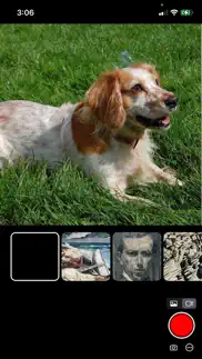 artshots: ai photo filters айфон картинки 1