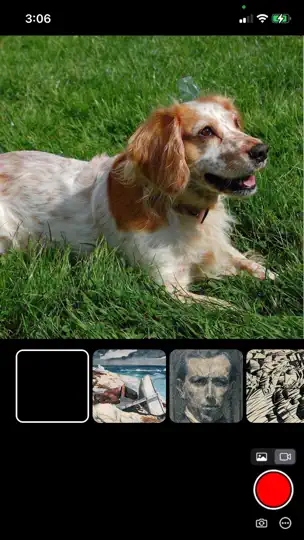 Captura de pantalla de ArtShots: AI Photo Filters en iPhone 1