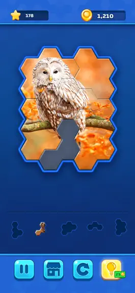 Game screenshot Hexa Jigsaw Challenge apk