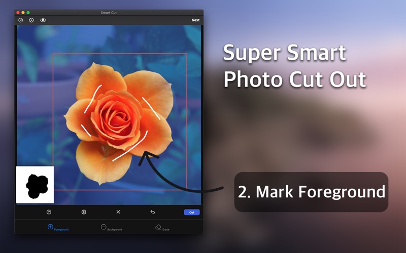 smart cut : background eraser iphone screenshot 2
