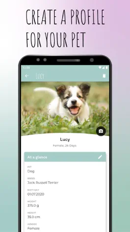 Game screenshot Petory - Pet Care apk