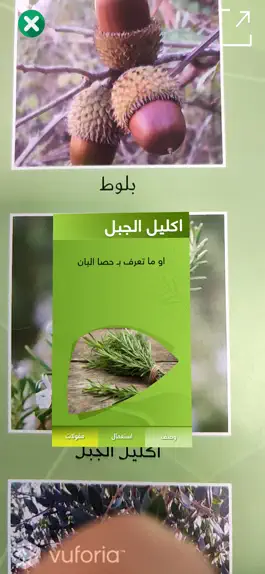 Game screenshot نباتات فلسطين apk