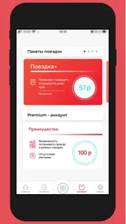 transport - оплата проезда айфон картинки 2