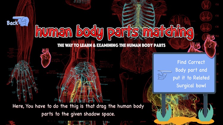 Human Body Parts Matching