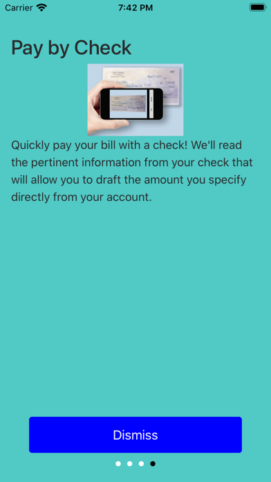 Seidberg Law Screenshot