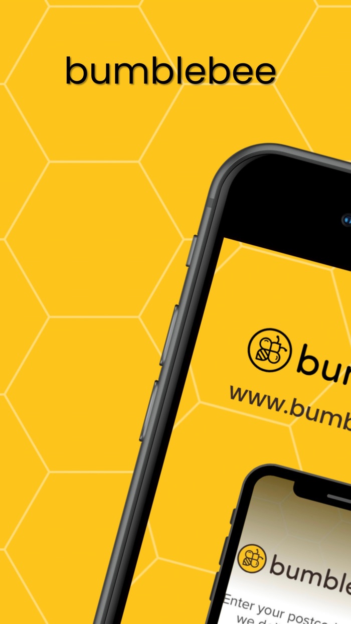 Bumblebee - We Deliver