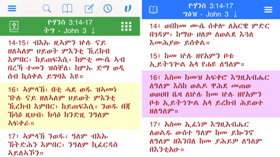 Hiyaw Qal AmlaK Bibles Screenshot
