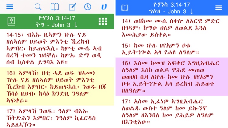 Hiyaw Qal AmlaK Bibles screenshot-9