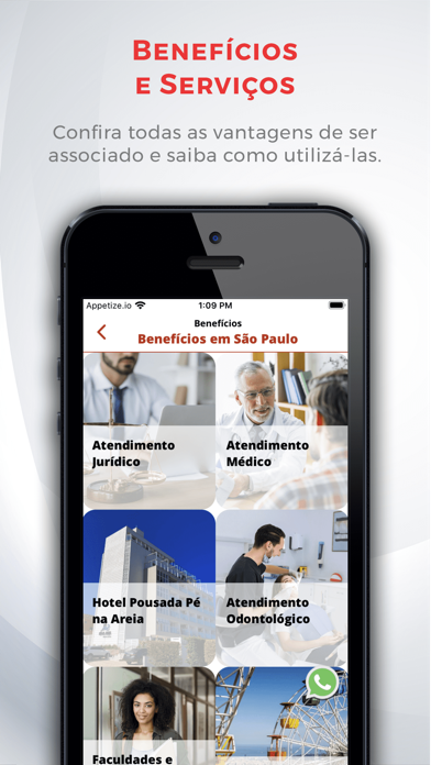 Sinteata Screenshot