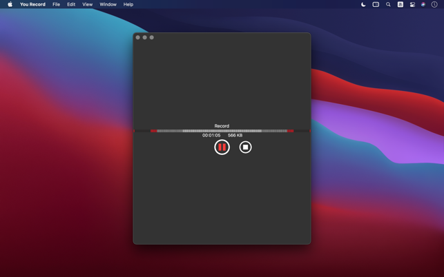 ‎You Record Pro Screenshot