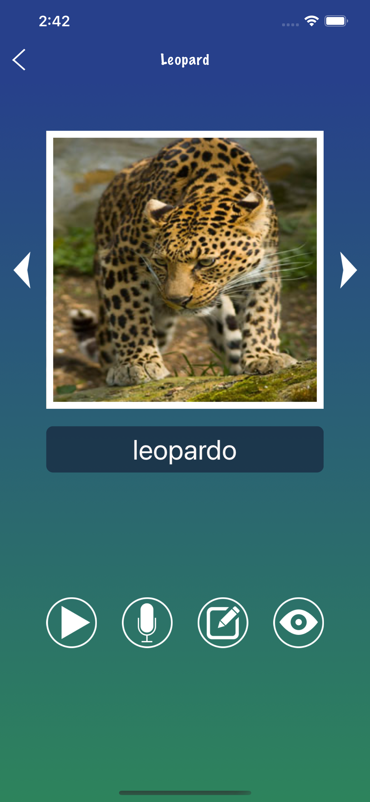 Portugiesisch Wort Flashcard