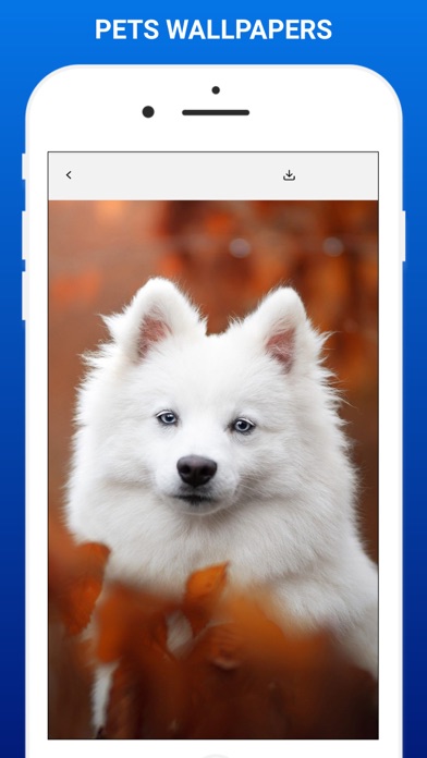 Pets Wallpapers Screenshot