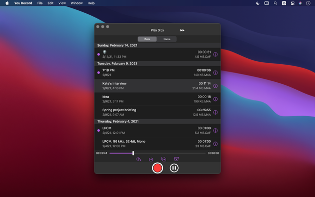‎You Record Pro Screenshot
