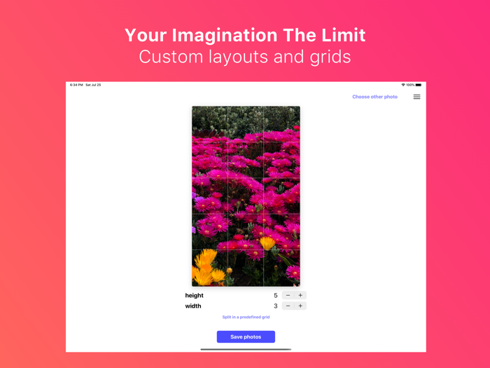 Griddy Plus Split Pic in Grid